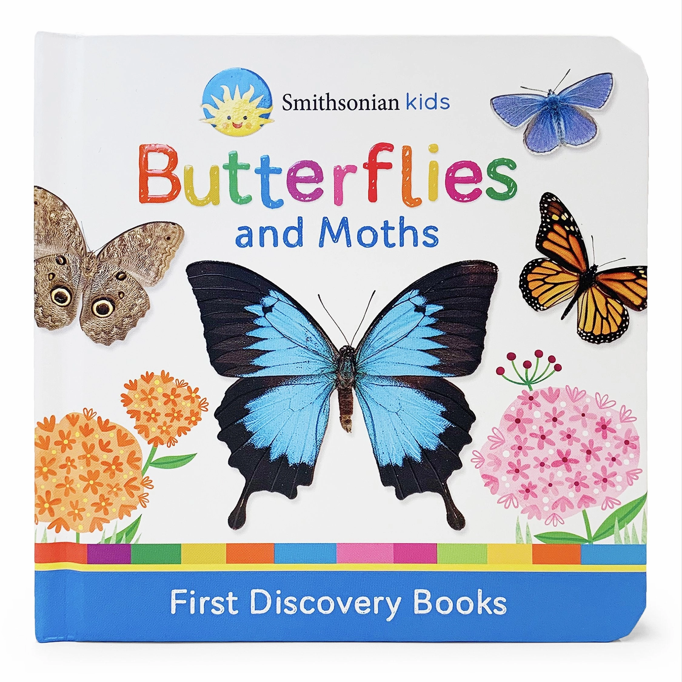 Butterflies and Moths - First Discovery Books