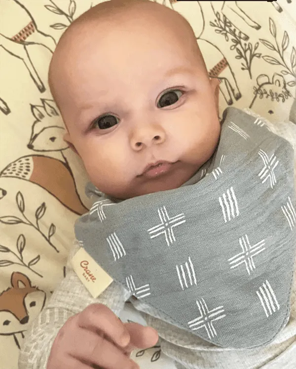 Crane Ezra 100% Cotton Muslin Baby Bib 3 Piece Set Babykids Ccrane Baby