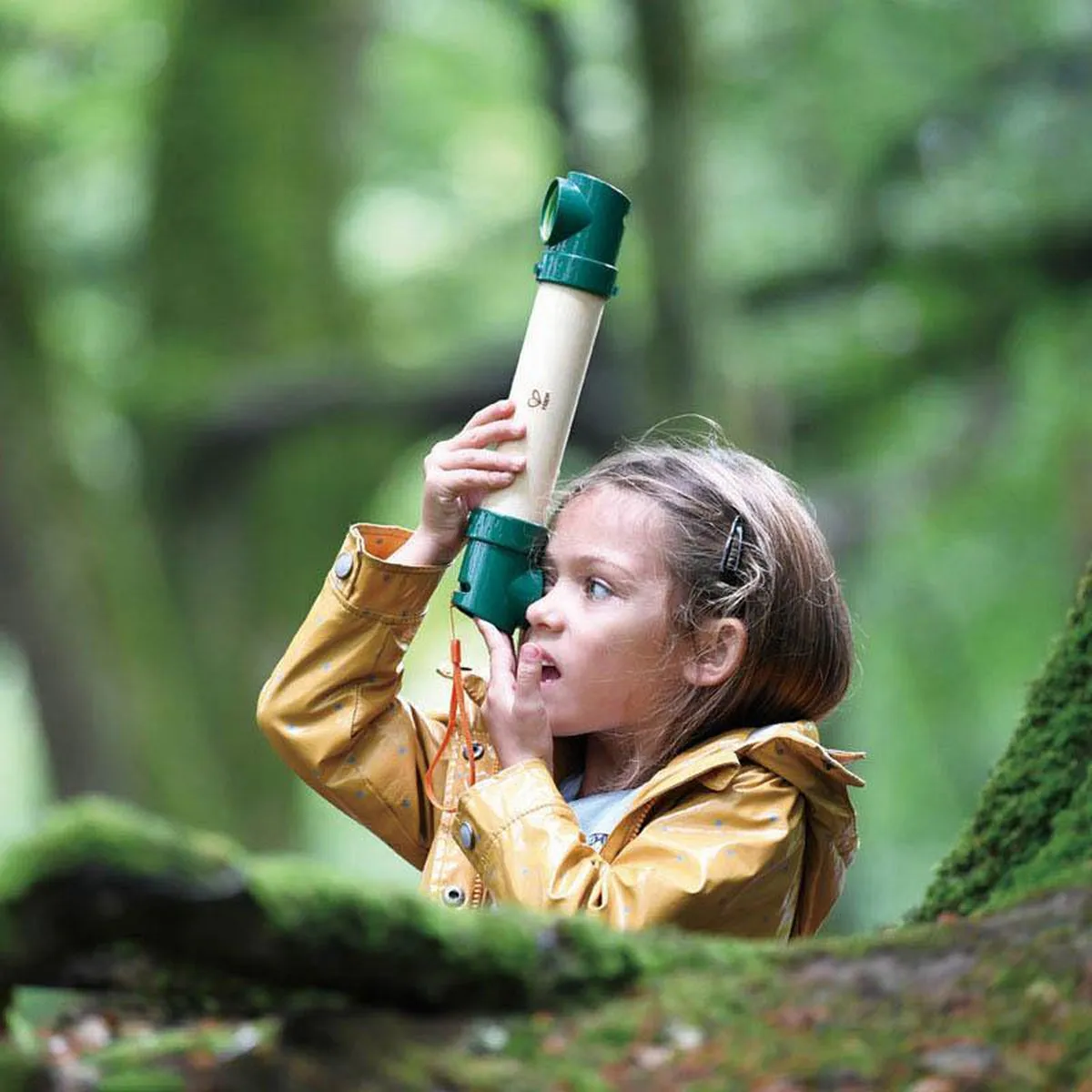Hape hide and seek periscope