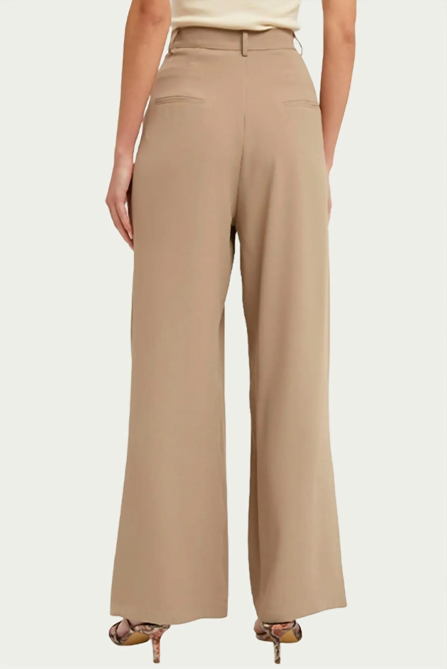 Pleated Wide-Leg Pants In Mushroom
