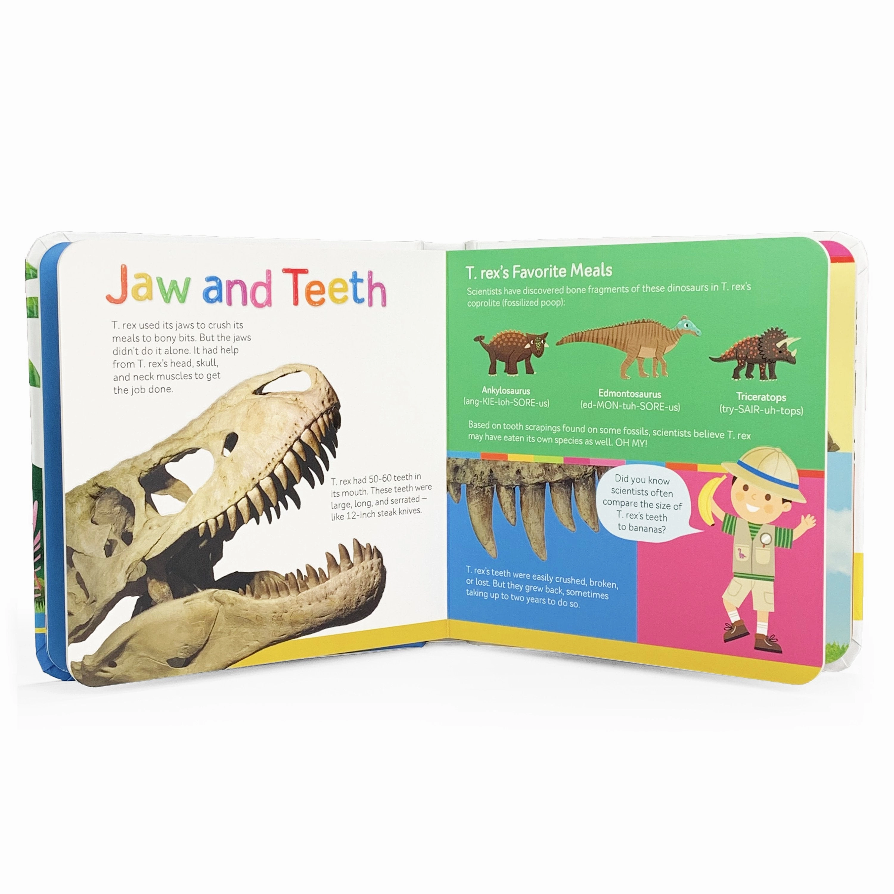 T-Rex From Head to Tail - First Discovery Books